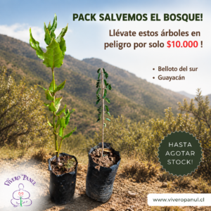 PACK SALVEMOS EL BOSQUE