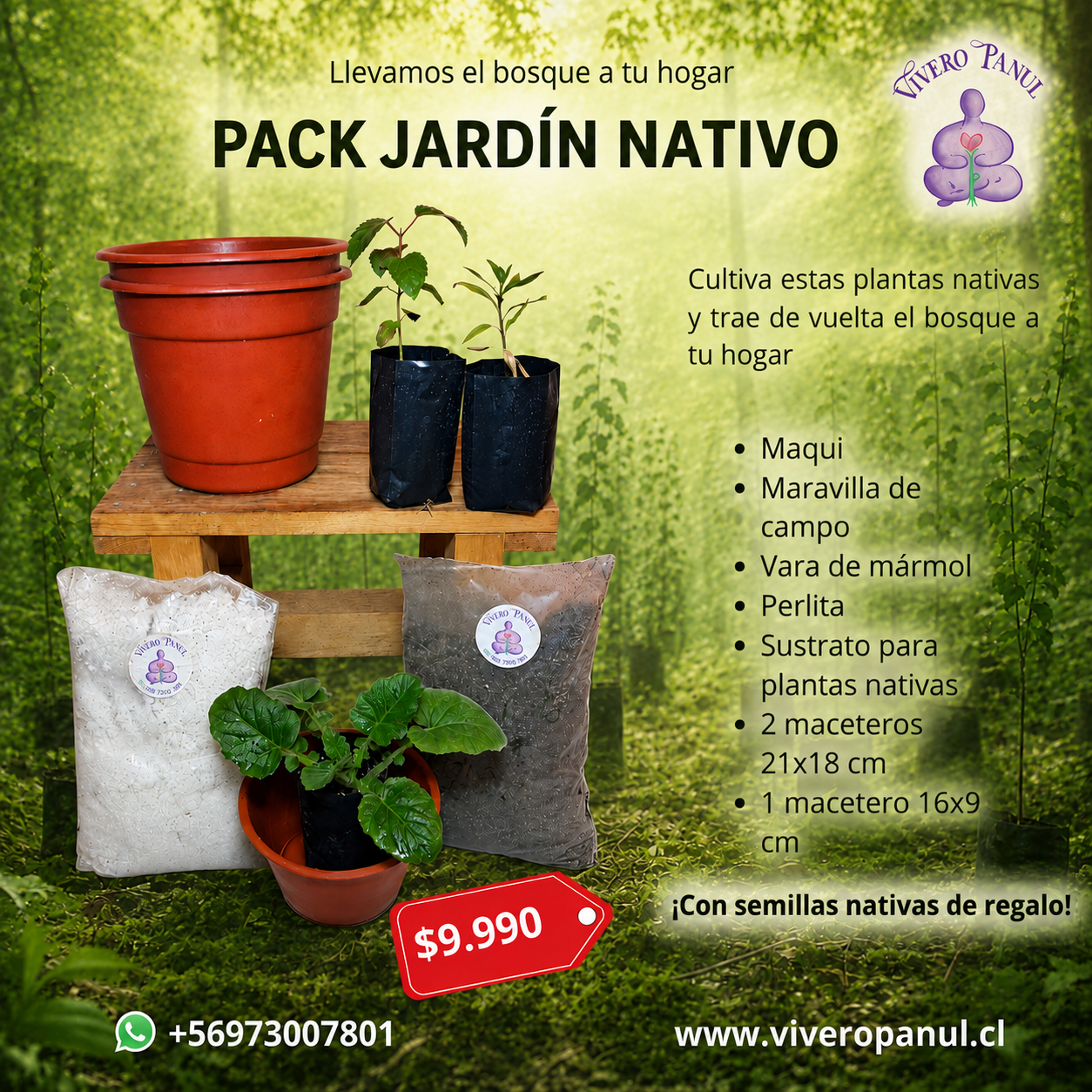 PACK JARDÍN NATIVO